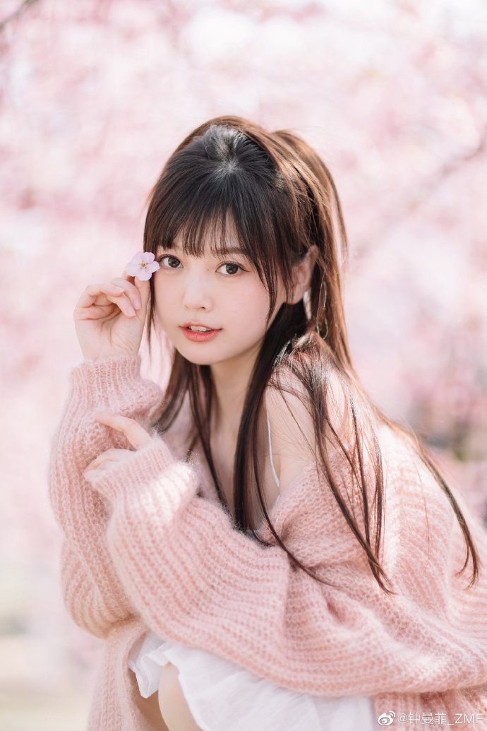 龙猫